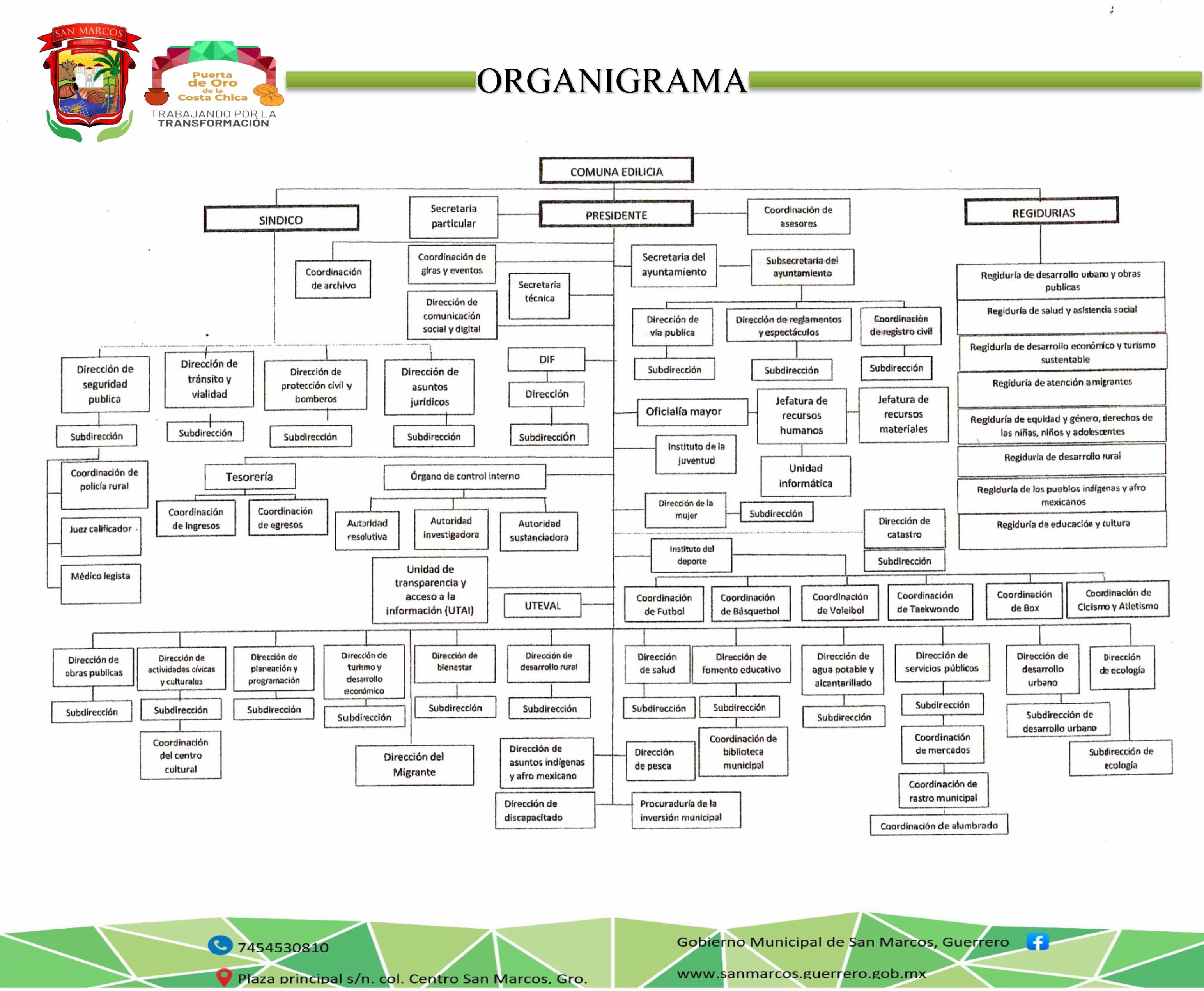 Organigrama